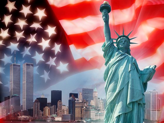 SS Consultants: Your Pathway to Success in the USA